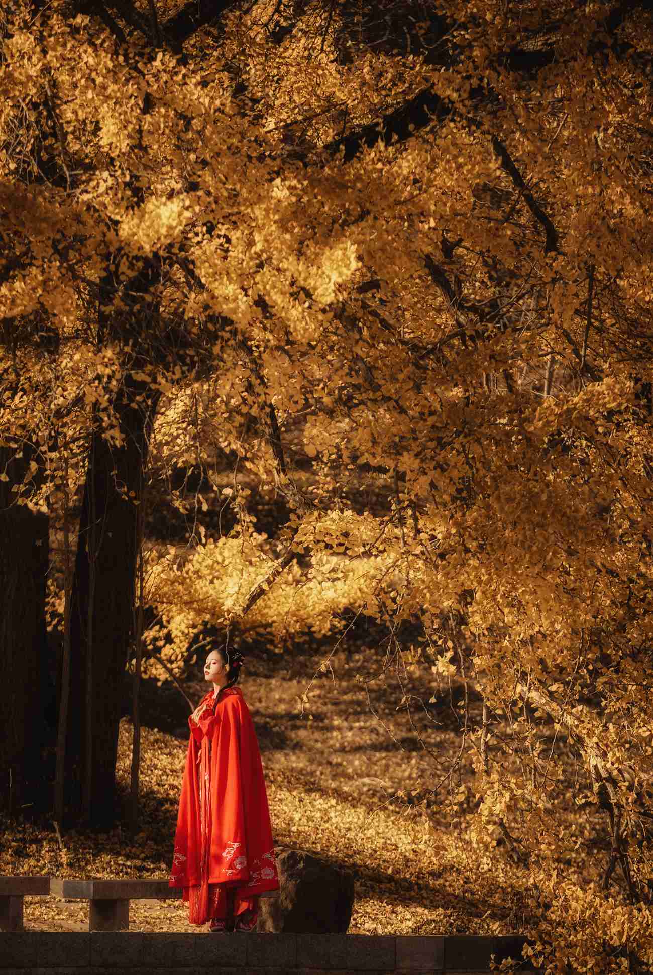 图片[20]-[YITUYU艺图语] 2021.10.30 长相思 葵花花花儿 [23P] – 速更版-美库