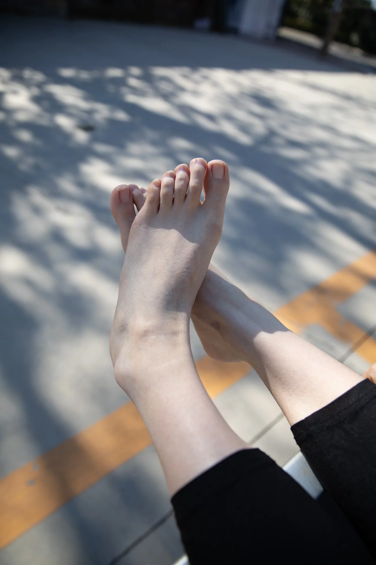 图片[141]-物恋传媒 NO.588 猫耳-诗中月[144P] – 速更版-美库