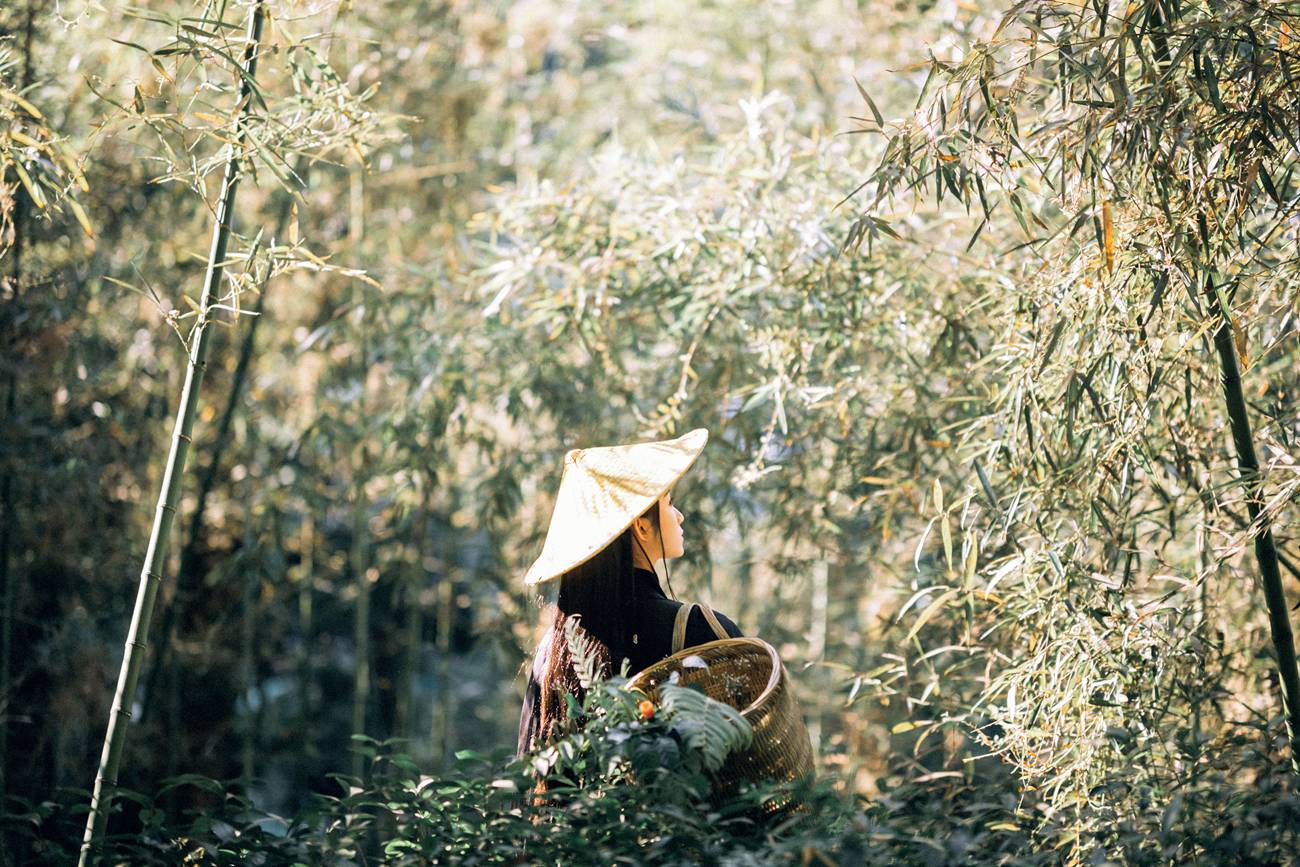 图片[26]-[YITUYU艺图语] 2021.12.15 采药 七屿 [30P] – 速更版-美库