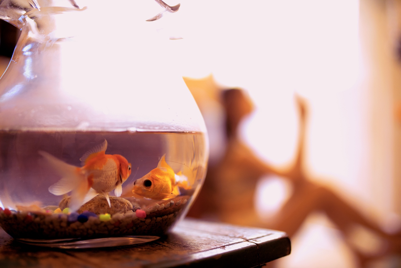 图片[16]-[YITUYU艺图语] 2021.12.21 夏日集 楼楼 [27P] – 速更版-美库