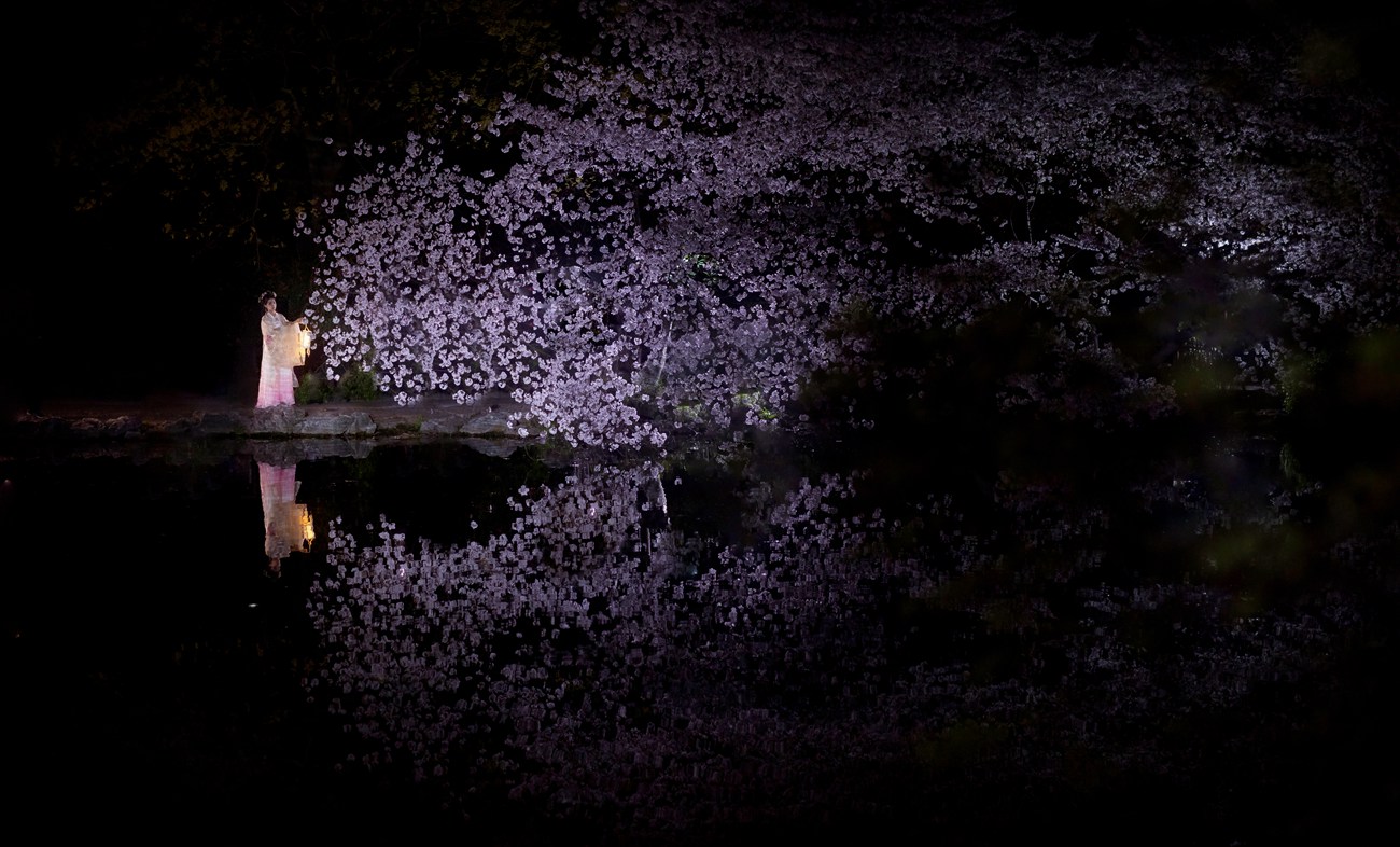 图片[16]-[YITUYU艺图语] 2021.12.29 樱 参商 [21P] – 速更版-美库