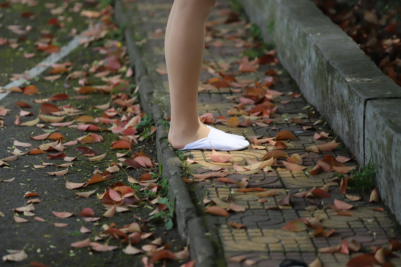 图片[25]-大西瓜爱牙膏-2019 8X活动 模特2（二） 民族舞蹈（1）[60P] – 速更版-美库