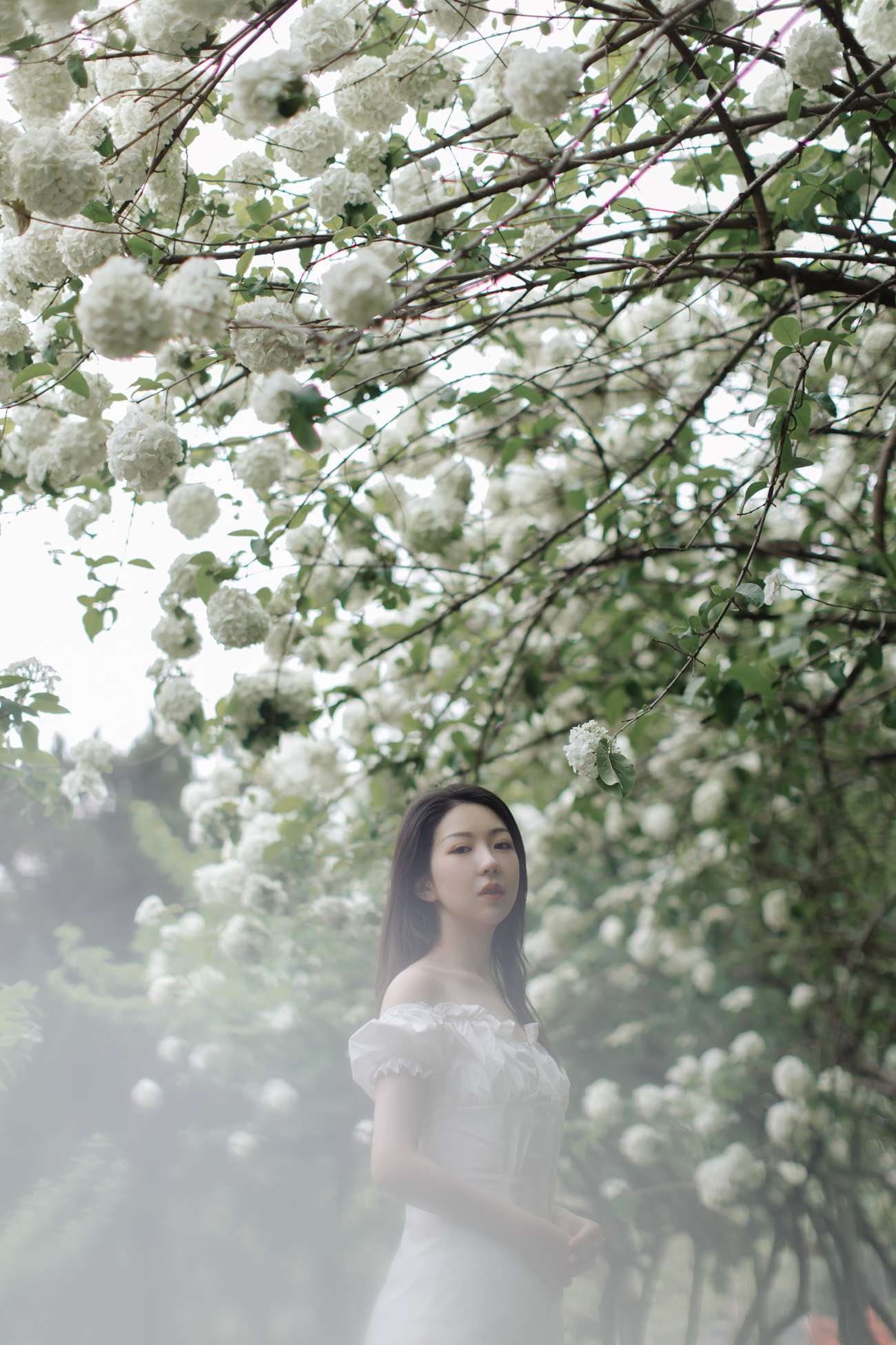 图片[16]-[YITUYU艺图语] 2021.12.31 绣球花开 小tom [22P] – 速更版-美库