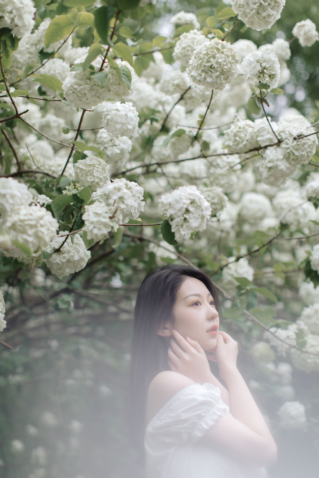 图片[18]-[YITUYU艺图语] 2021.12.31 绣球花开 小tom [22P] – 速更版-美库