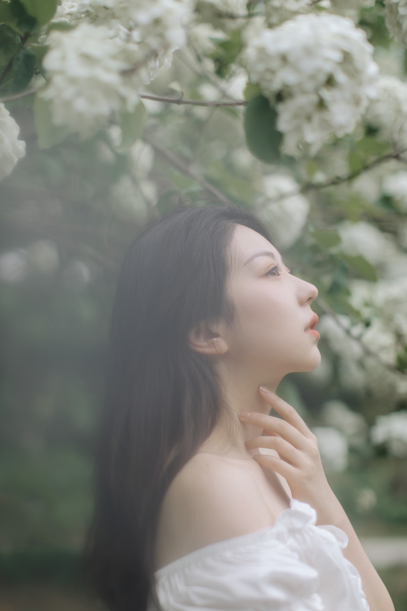 图片[19]-[YITUYU艺图语] 2021.12.31 绣球花开 小tom [22P] – 速更版-美库