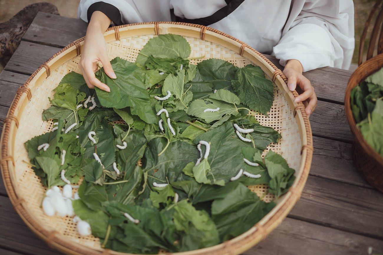 图片[14]-[YITUYU艺图语] 2022.01.01 罗敷 小清菡 [25P339MB] – 速更版-美库