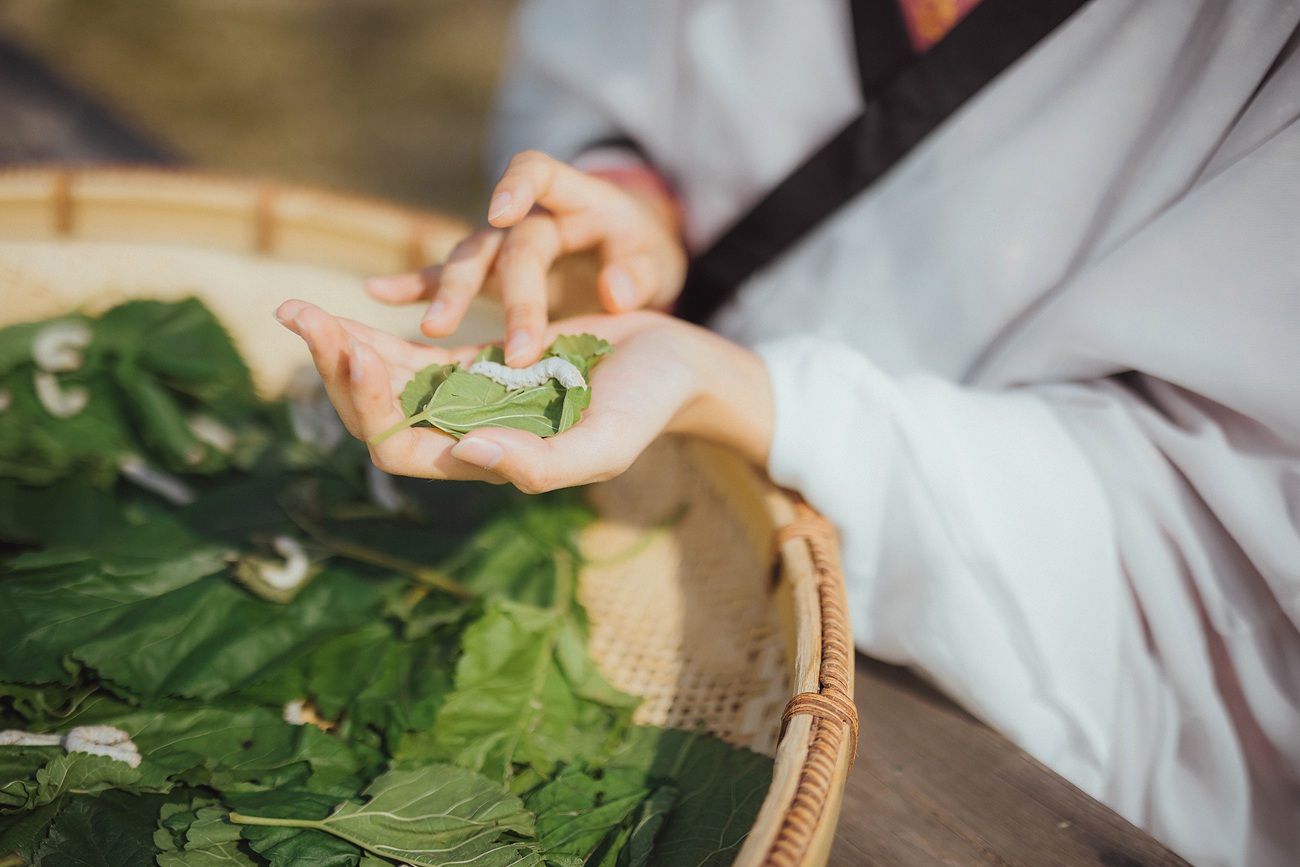 图片[16]-[YITUYU艺图语] 2022.01.01 罗敷 小清菡 [25P339MB] – 速更版-美库