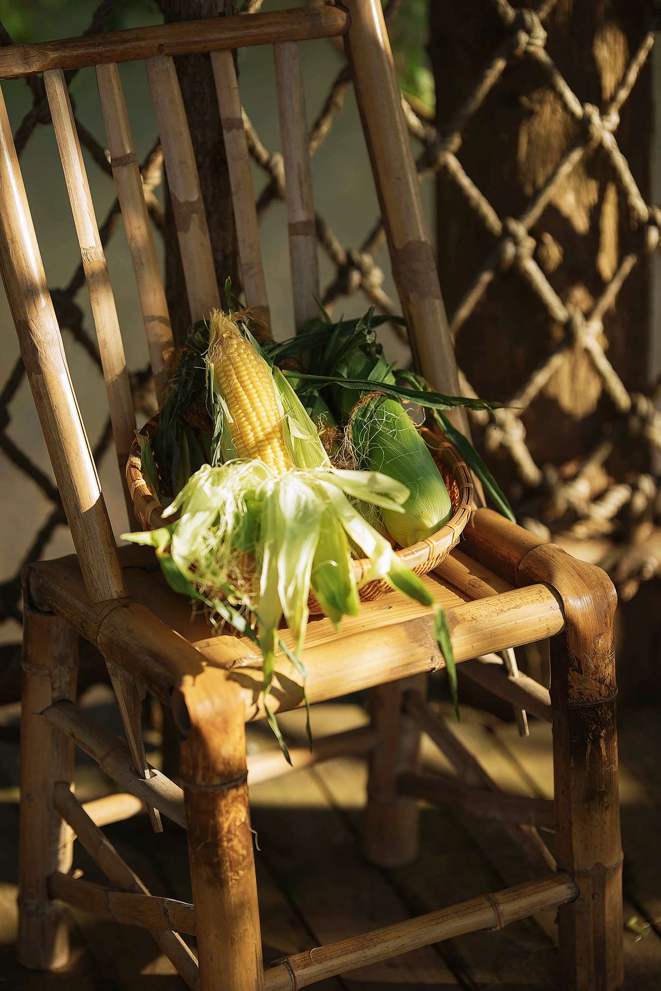 图片[24]-[YITUYU艺图语] 2022.01.04 牧马姑娘 栗子 [27P] – 速更版-美库