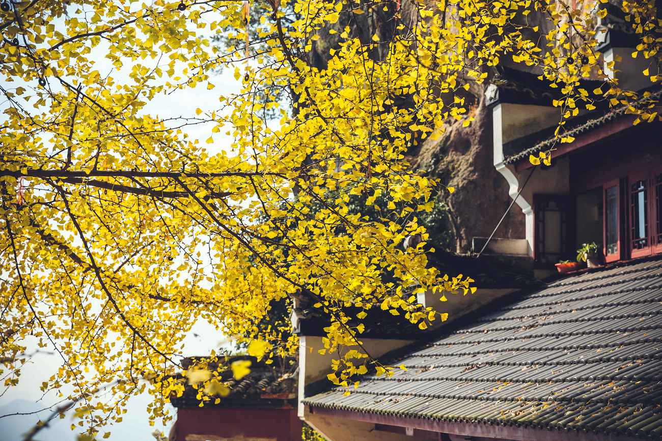 图片[11]-[YITUYU艺图语] 2022.01.05 侠女 毛娅绮 [44P] – 速更版-美库