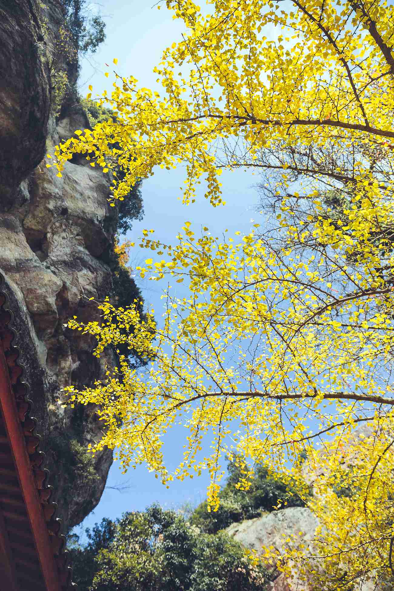 图片[42]-[YITUYU艺图语] 2022.01.05 侠女 毛娅绮 [44P] – 速更版-美库