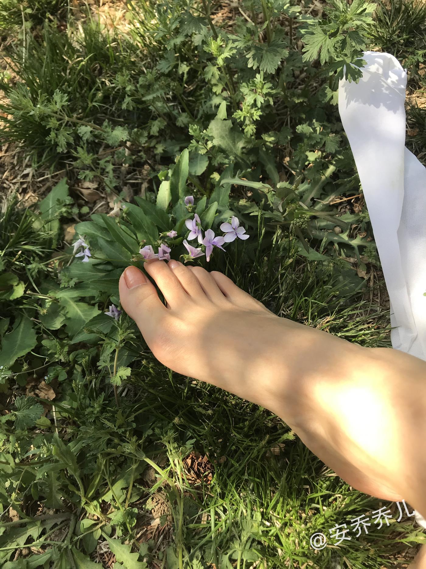 图片[106]-安乔乔儿(Nia乔乔)  夏天的风[115P] – 速更版-美库