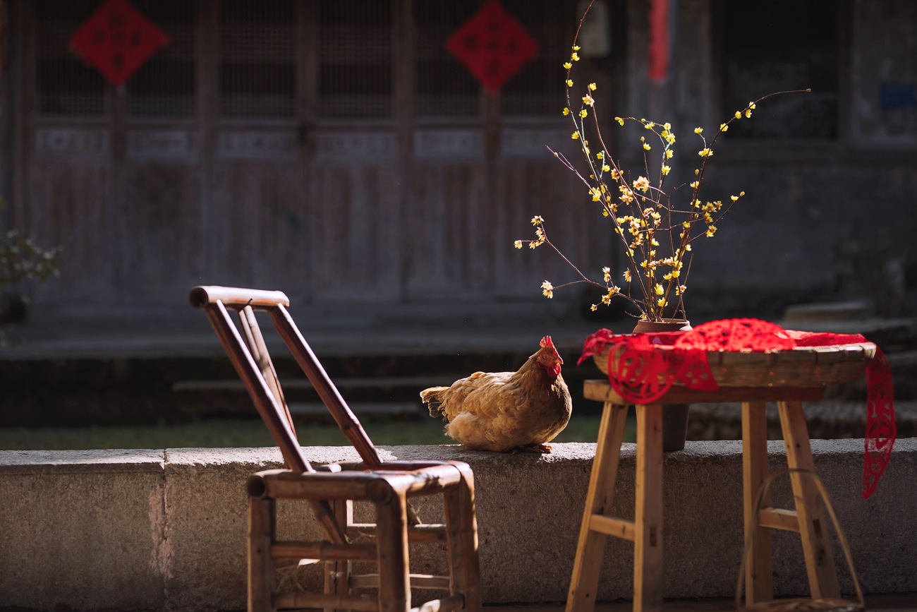 图片[11]-[YITUYU艺图语] 2022.01.06 新年 小清菡 [33P] – 速更版-美库