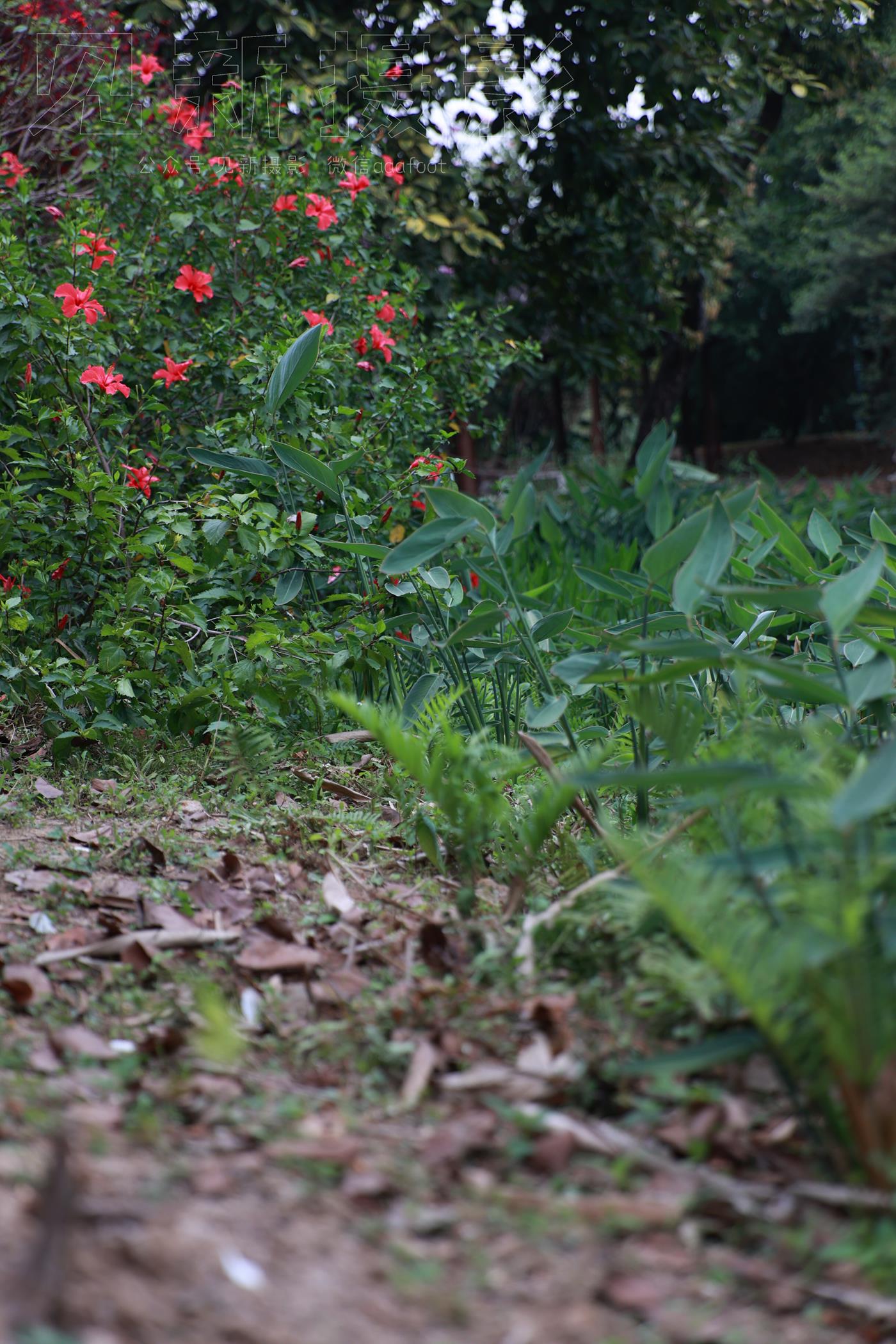 图片[209]-[见新摄影]NO.009 湿地公园阿贞[283P] – 速更版-美库