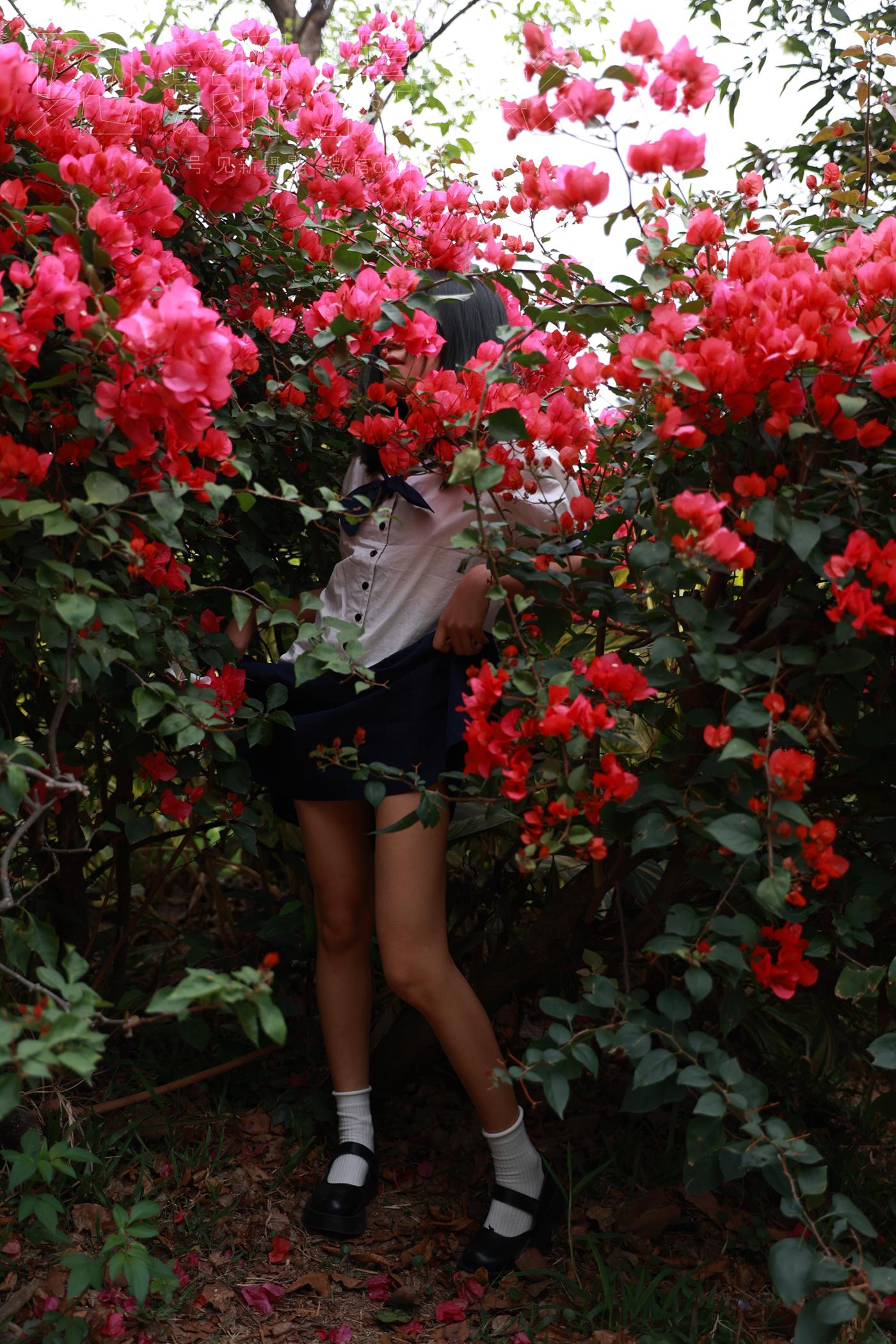 图片[211]-[见新摄影]NO.009 湿地公园阿贞[283P] – 速更版-美库