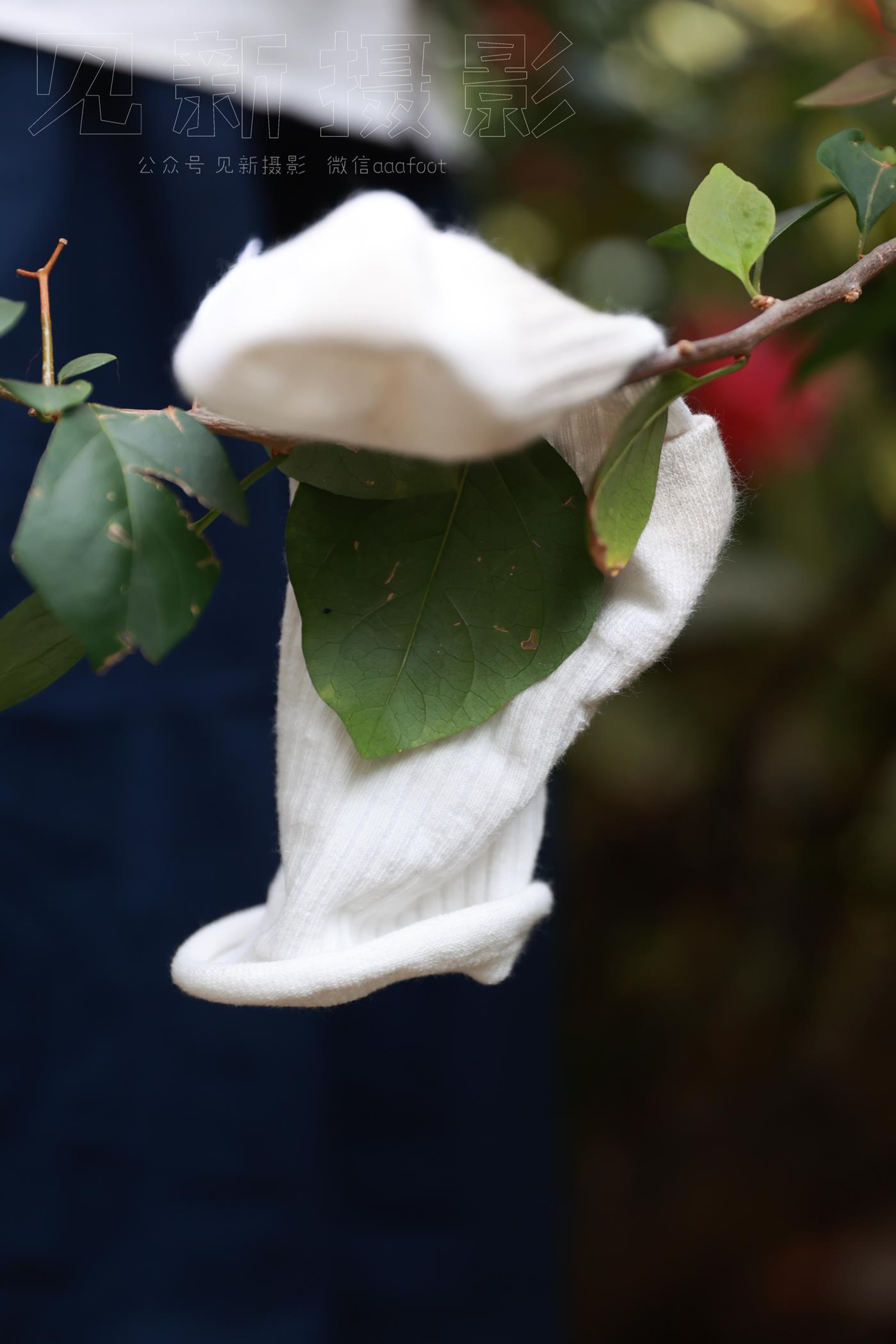 图片[228]-[见新摄影]NO.009 湿地公园阿贞[283P] – 速更版-美库