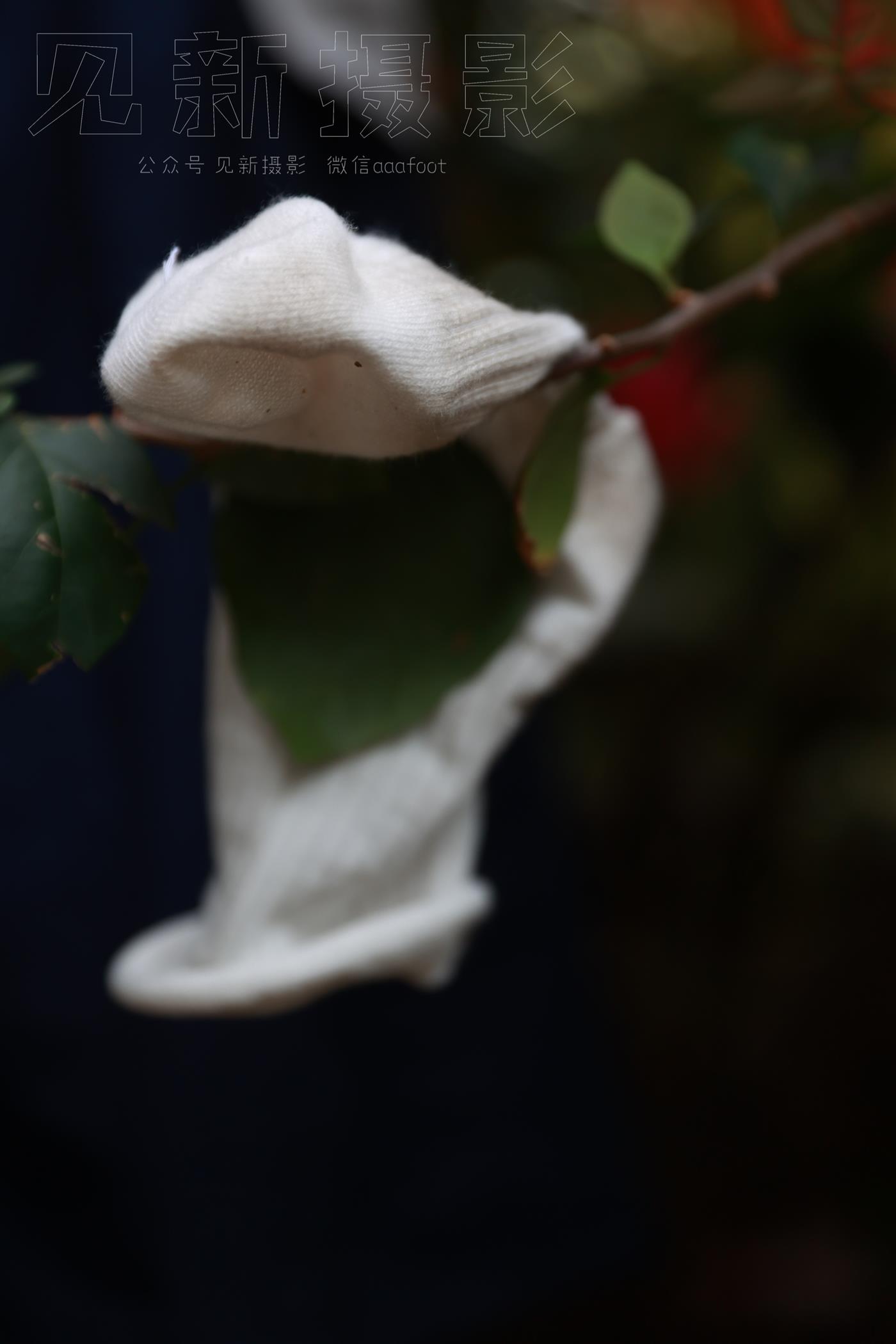 图片[229]-[见新摄影]NO.009 湿地公园阿贞[283P] – 速更版-美库