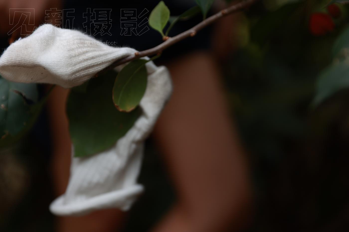 图片[230]-[见新摄影]NO.009 湿地公园阿贞[283P] – 速更版-美库