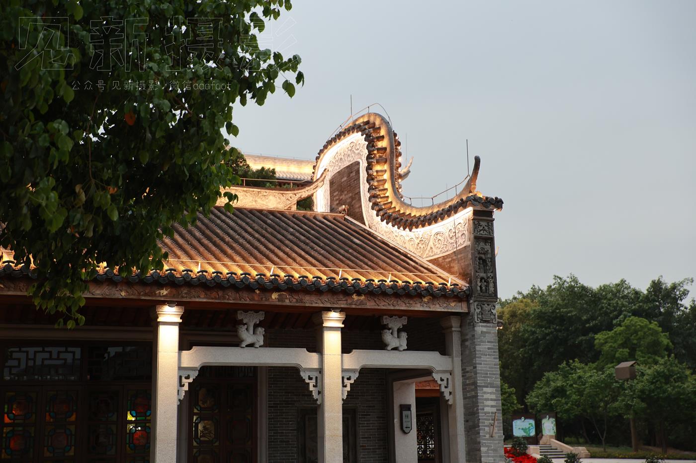 图片[254]-[见新摄影]NO.009 湿地公园阿贞[283P] – 速更版-美库