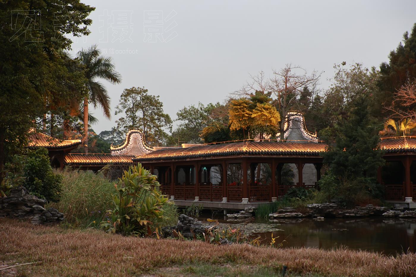 图片[255]-[见新摄影]NO.009 湿地公园阿贞[283P] – 速更版-美库