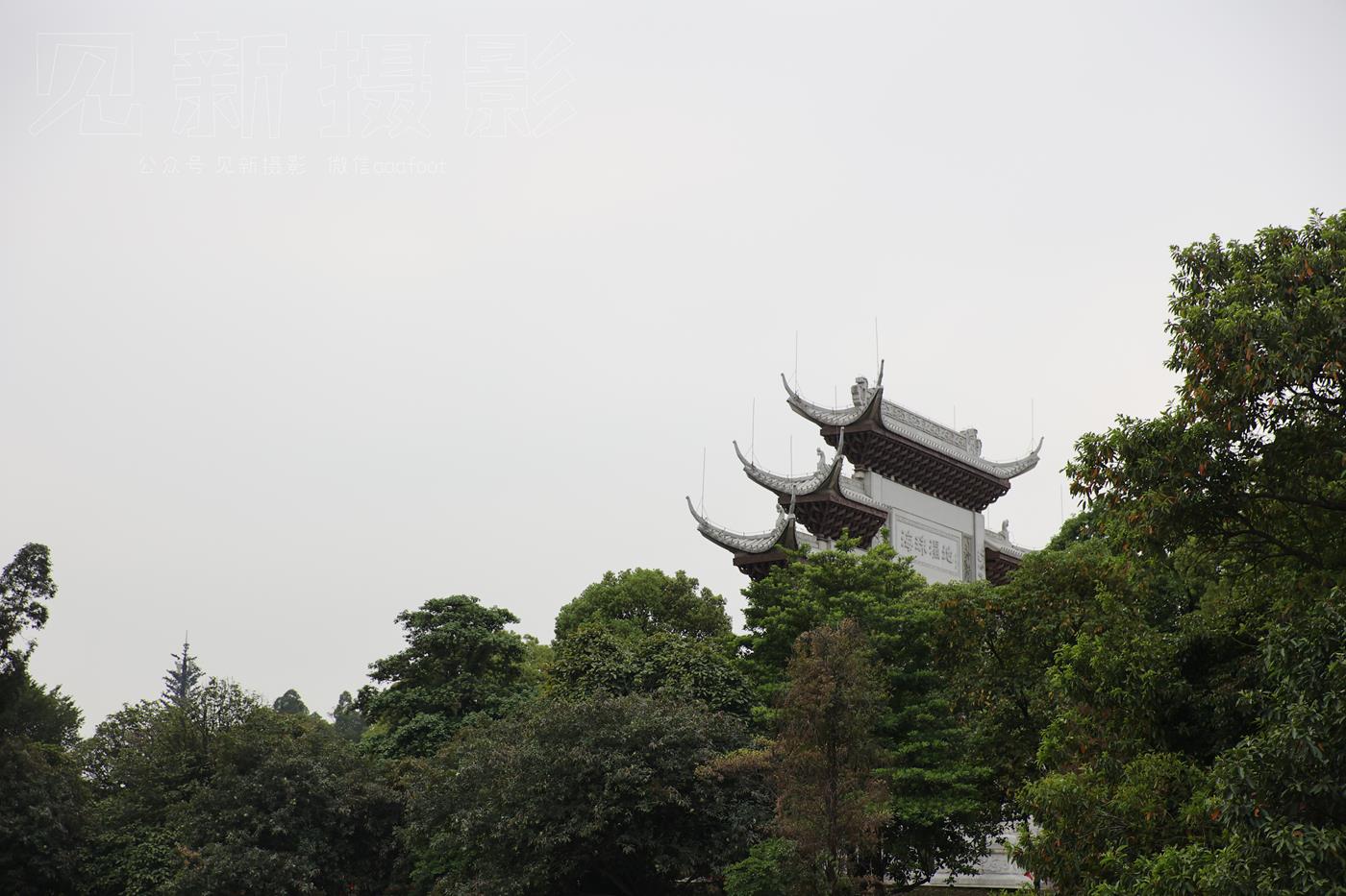 图片[283]-[见新摄影]NO.009 湿地公园阿贞[283P] – 速更版-美库