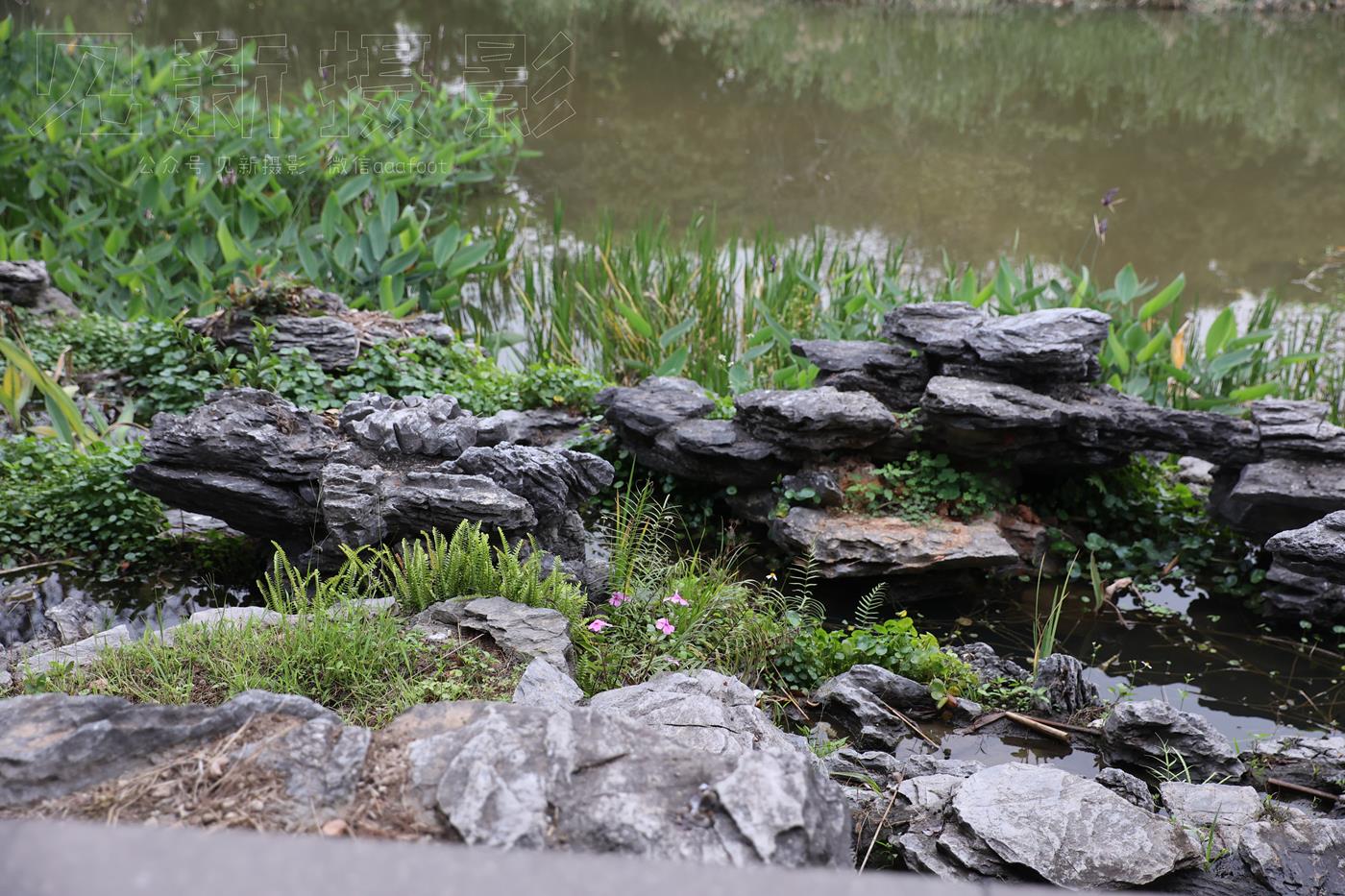 图片[284]-[见新摄影]NO.009 湿地公园阿贞[283P] – 速更版-美库