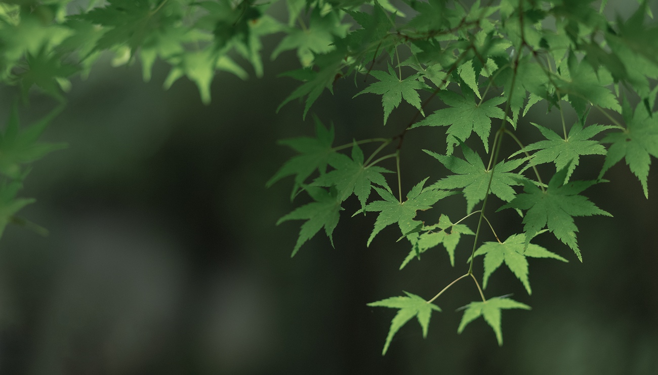 图片[11]-[YITUYU艺图语] 2022.01.08 四月桃林 柳柳 [35P] – 速更版-美库