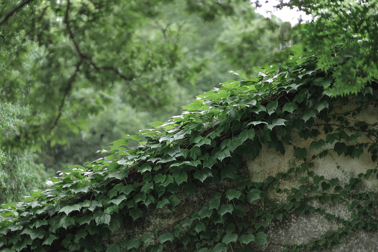 图片[12]-[YITUYU艺图语] 2022.01.08 四月桃林 柳柳 [35P] – 速更版-美库