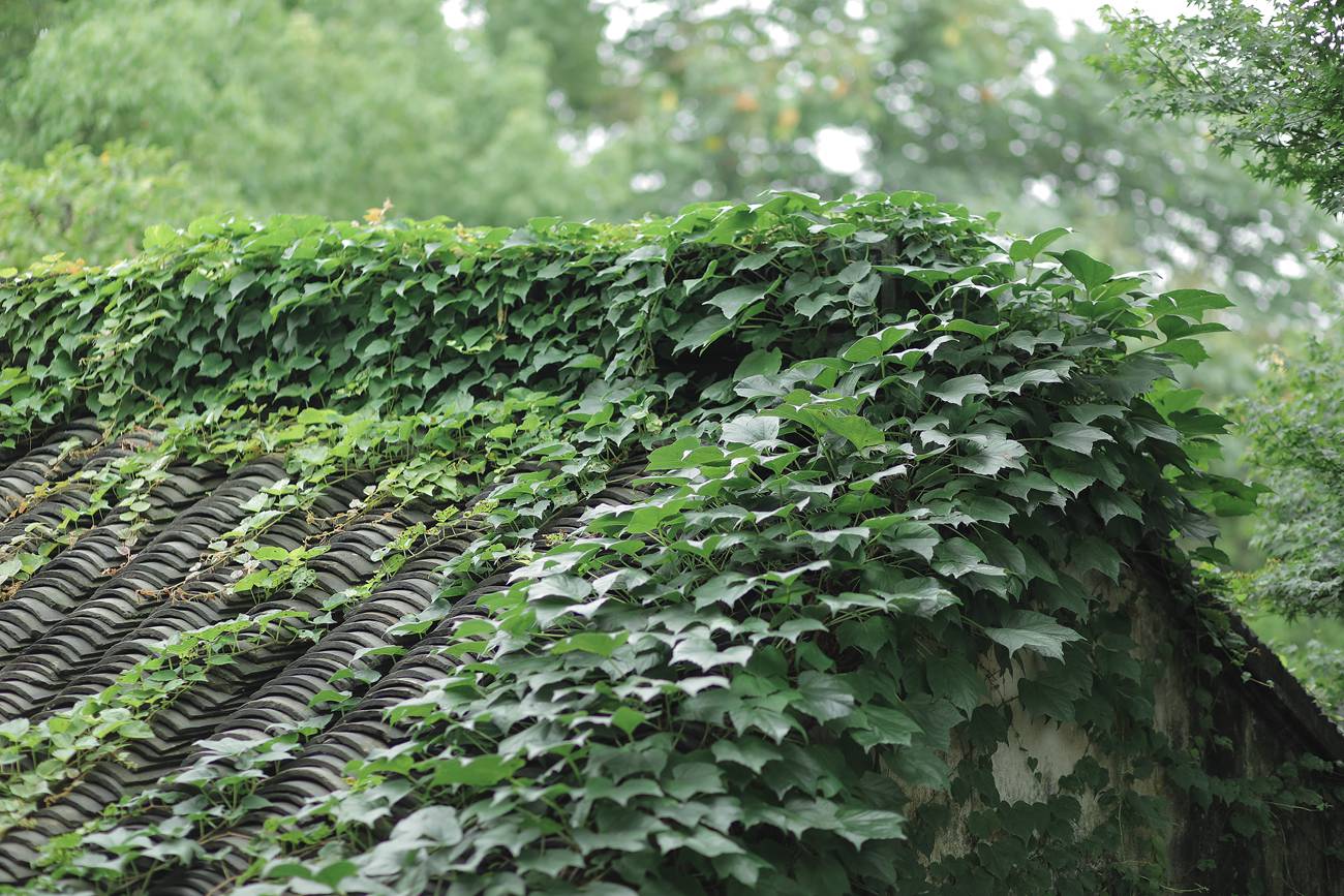 图片[25]-[YITUYU艺图语] 2022.01.08 四月桃林 柳柳 [35P] – 速更版-美库