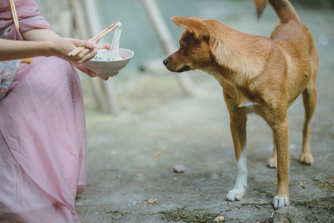 图片[14]-[YITUYU艺图语] 2022.01.10 布衣菜饭，可乐终身 小清菡 [24P] – 速更版-美库