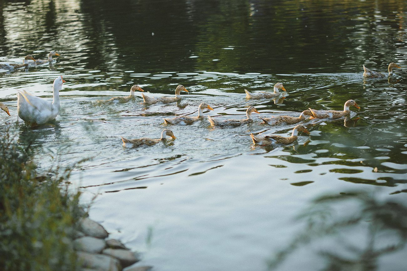 图片[16]-[YITUYU艺图语] 2022.01.10 布衣菜饭，可乐终身 小清菡 [24P] – 速更版-美库