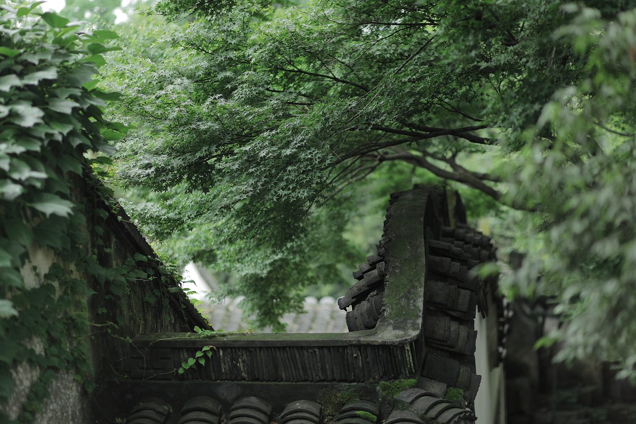 图片[32]-[YITUYU艺图语] 2022.01.08 四月桃林 柳柳 [35P] – 速更版-美库