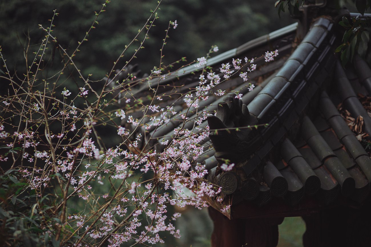 图片[21]-[YITUYU艺图语] 2022.01.11 山中饮 敬贤 [25P] – 速更版-美库