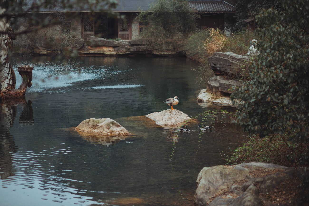 图片[23]-[YITUYU艺图语] 2022.01.11 山中饮 敬贤 [25P] – 速更版-美库