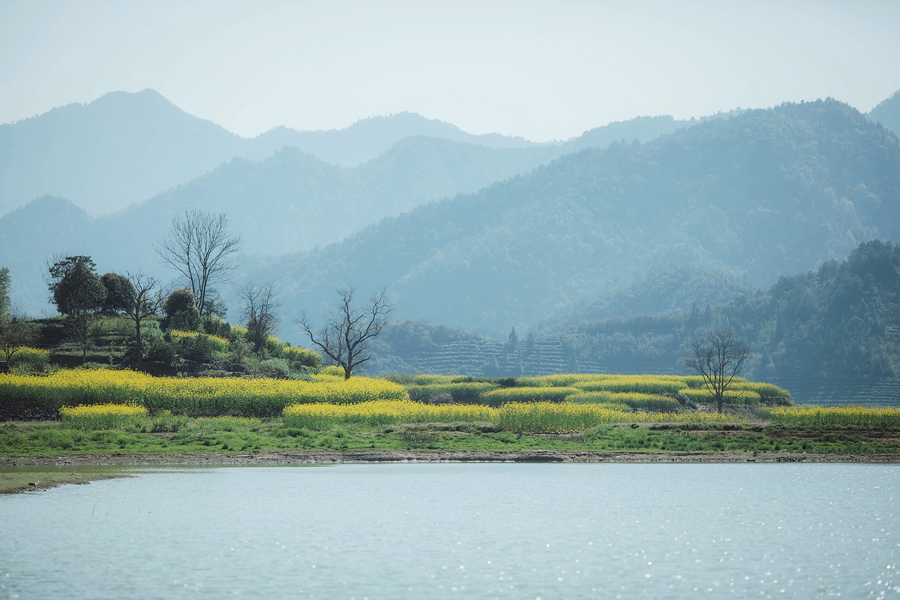 图片[12]-[YITUYU艺图语] 2022.01.11 诗经 小清菡 [33P] – 速更版-美库