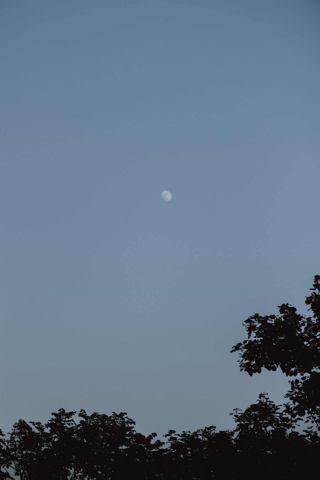 图片[23]-[YITUYU艺图语] 2022.01.14 山居秋暝 三重子 [24P] – 速更版-美库