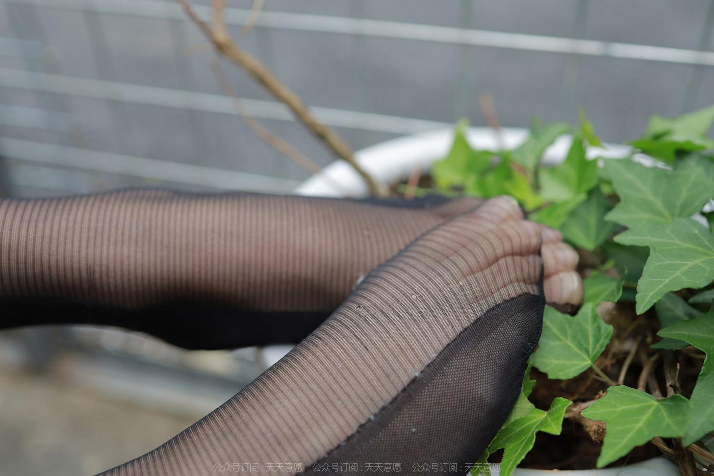 图片[74]-[IESS异思趣向] 2022.05.23 丝享家1096：婉萍《黑丝女司机》[83P] – 速更版-美库