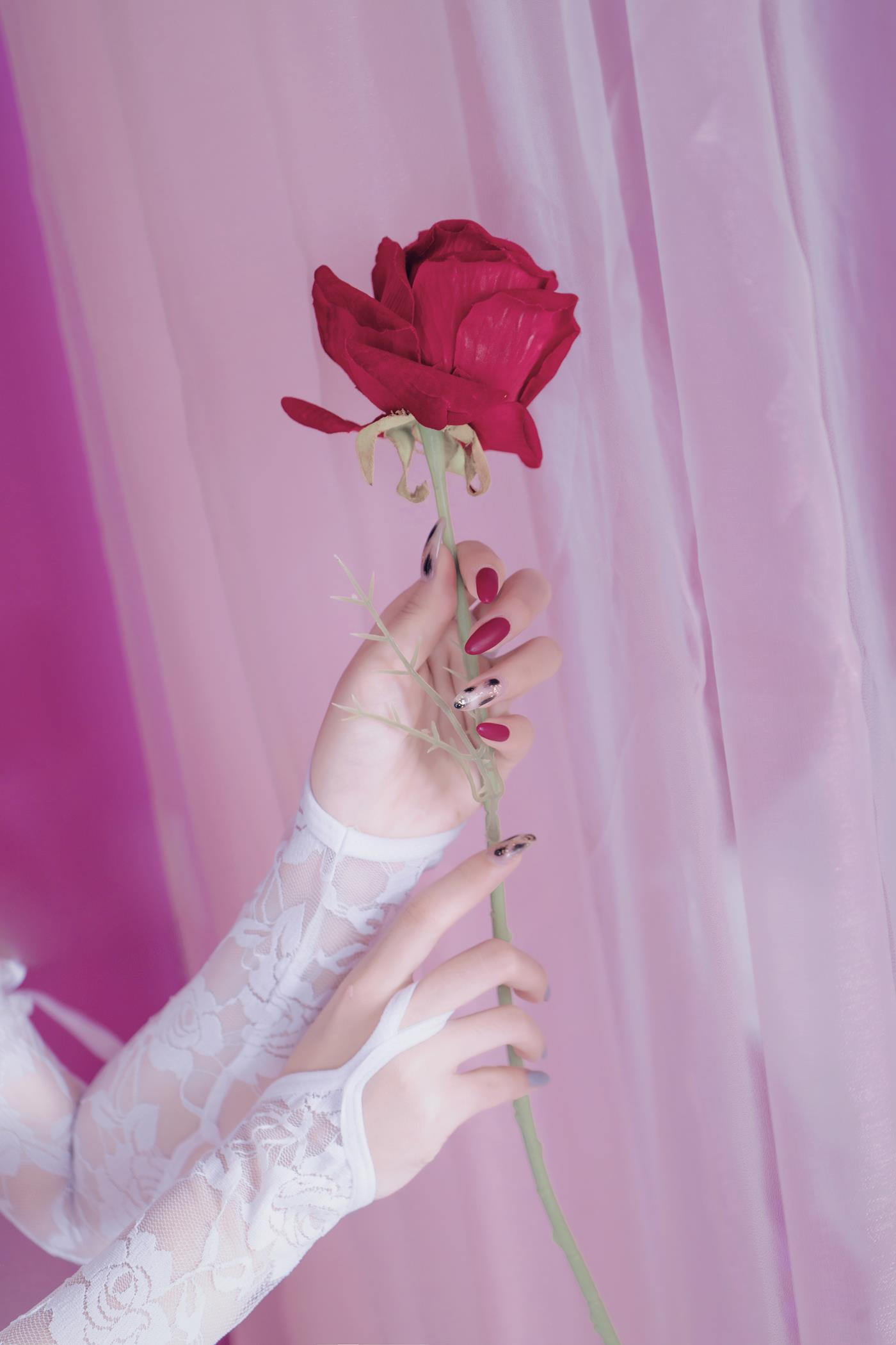 图片[22]-eloise软软   入水蕾丝 [30P] – 速更版-美库