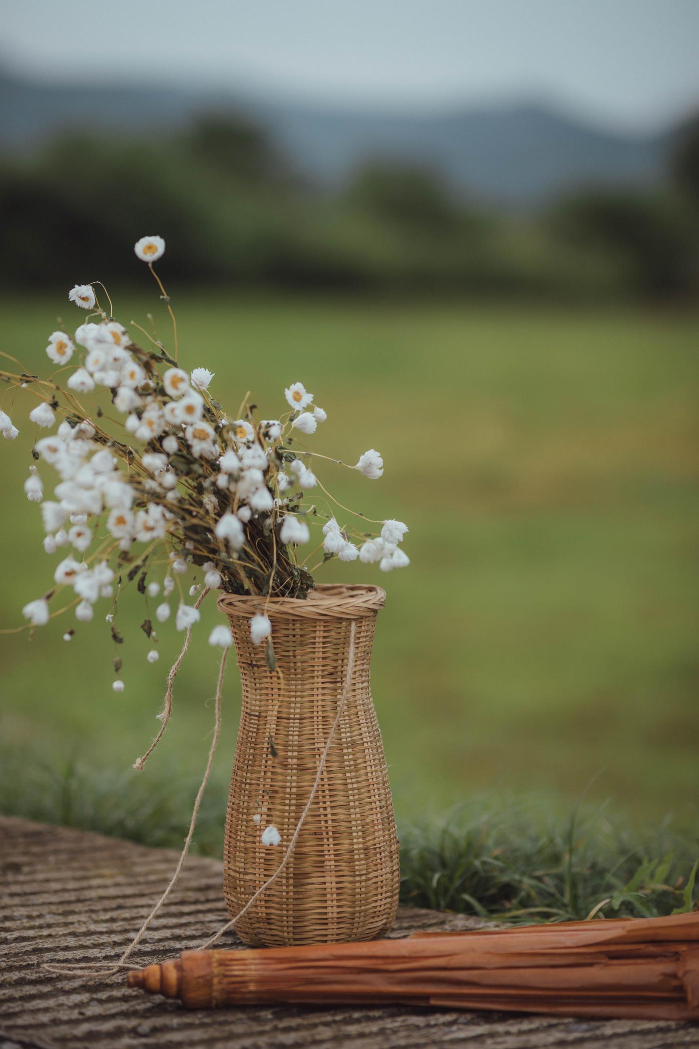 图片[15]-[YITUYU艺图语] 2022.01.14 野有蔓草 陶然 [22P] – 速更版-美库