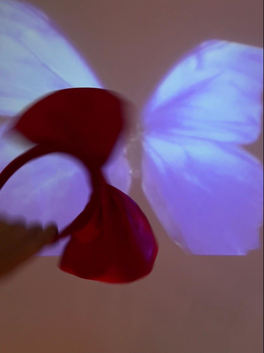 图片[34]-纪念小小V微密圈视图合集(1) [80P] – 速更版-美库