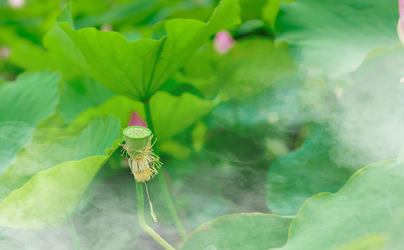 图片[25]-[YITUYU艺图语] 2021.11.03 采荷 孔荻 [31P] – 速更版-美库