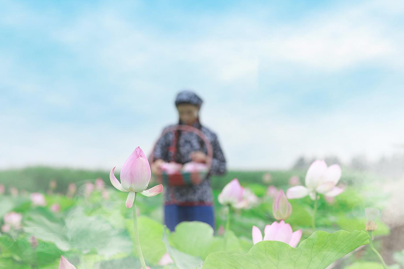 图片[31]-[YITUYU艺图语] 2021.11.03 采荷 孔荻 [31P] – 速更版-美库