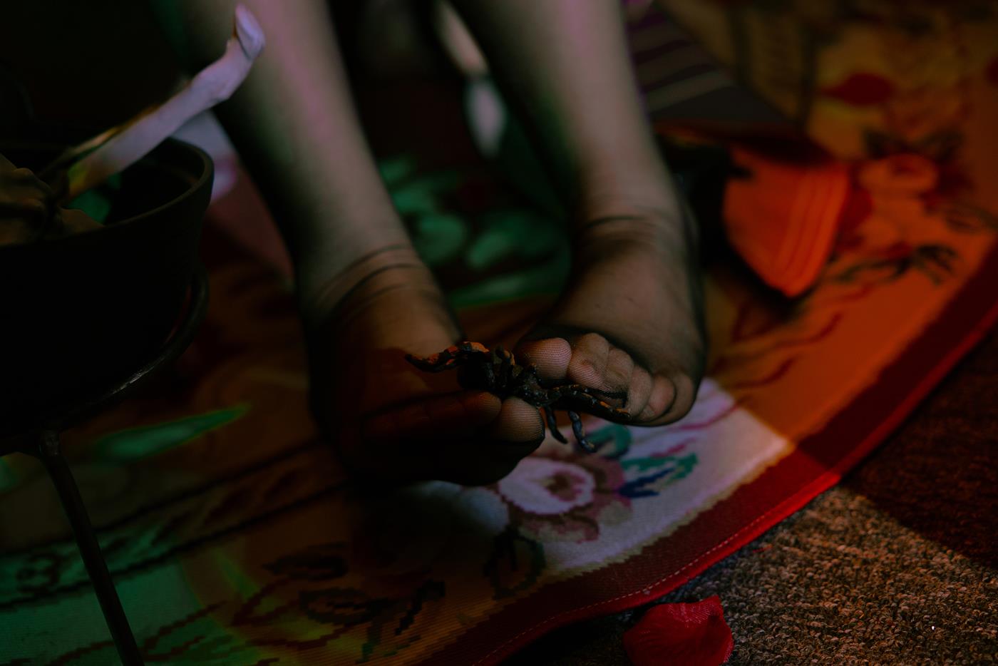 图片[16]-Cosplay日奈娇  孟菲斯 [18P] – 速更版-美库