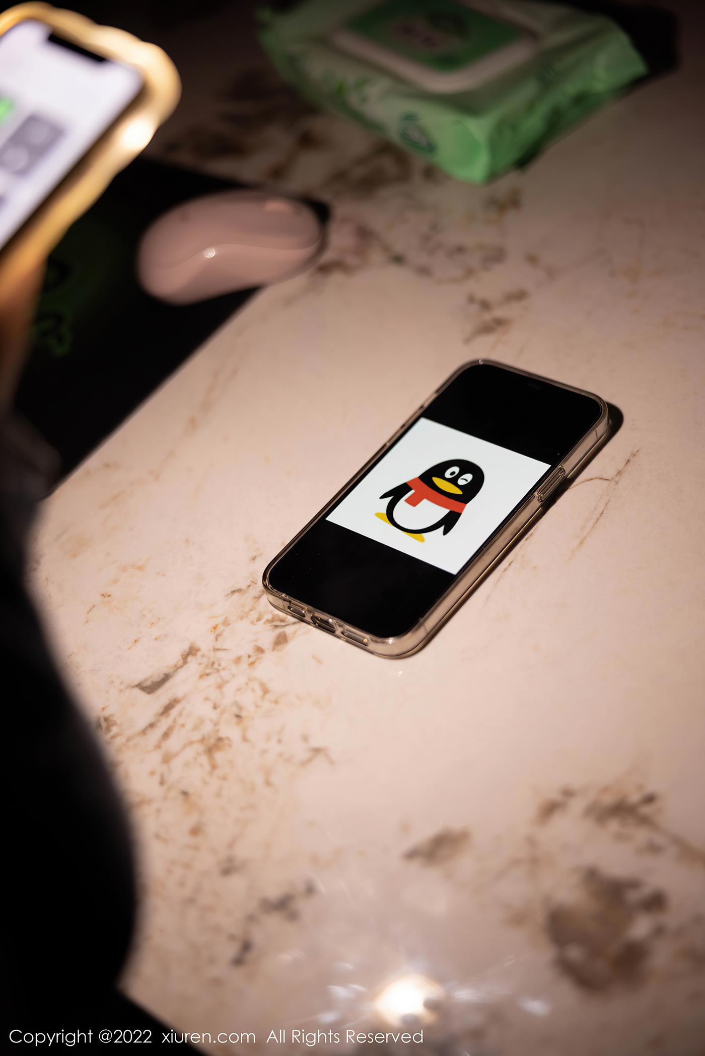 图片[15]-[Xiuren秀人网]2022.09.30 NO.5671 绮里嘉ula[18+1P] – 速更版-美库