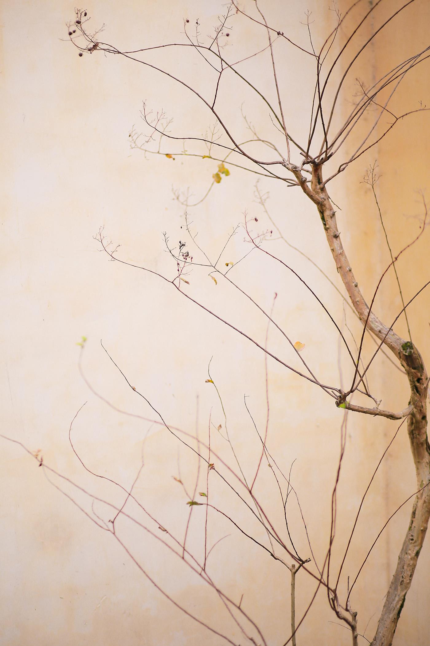 图片[19]-[YITUYU艺图语] 2021.11.16 春怨 沂越 [41P] – 速更版-美库