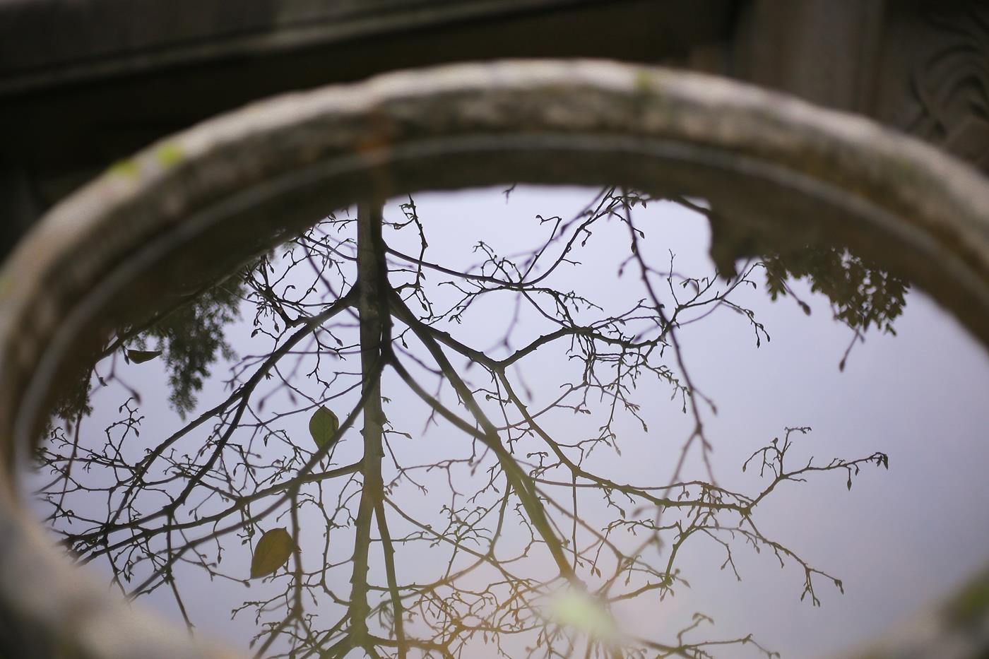 图片[35]-[YITUYU艺图语] 2021.11.16 春怨 沂越 [41P] – 速更版-美库