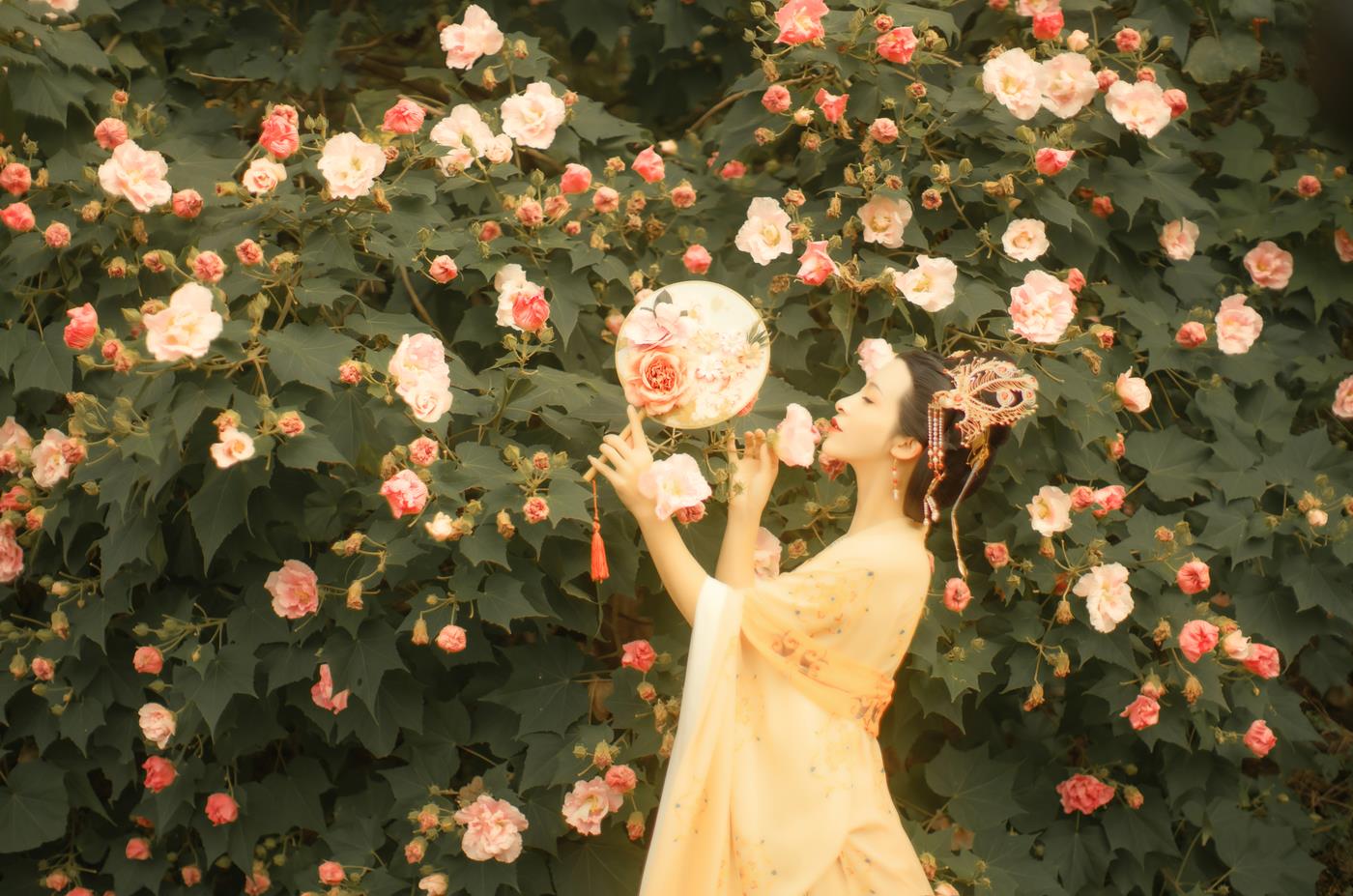 图片[19]-[YITUYU艺图语] 2021.11.18 芙蓉词 修水凝花 [38P] – 速更版-美库