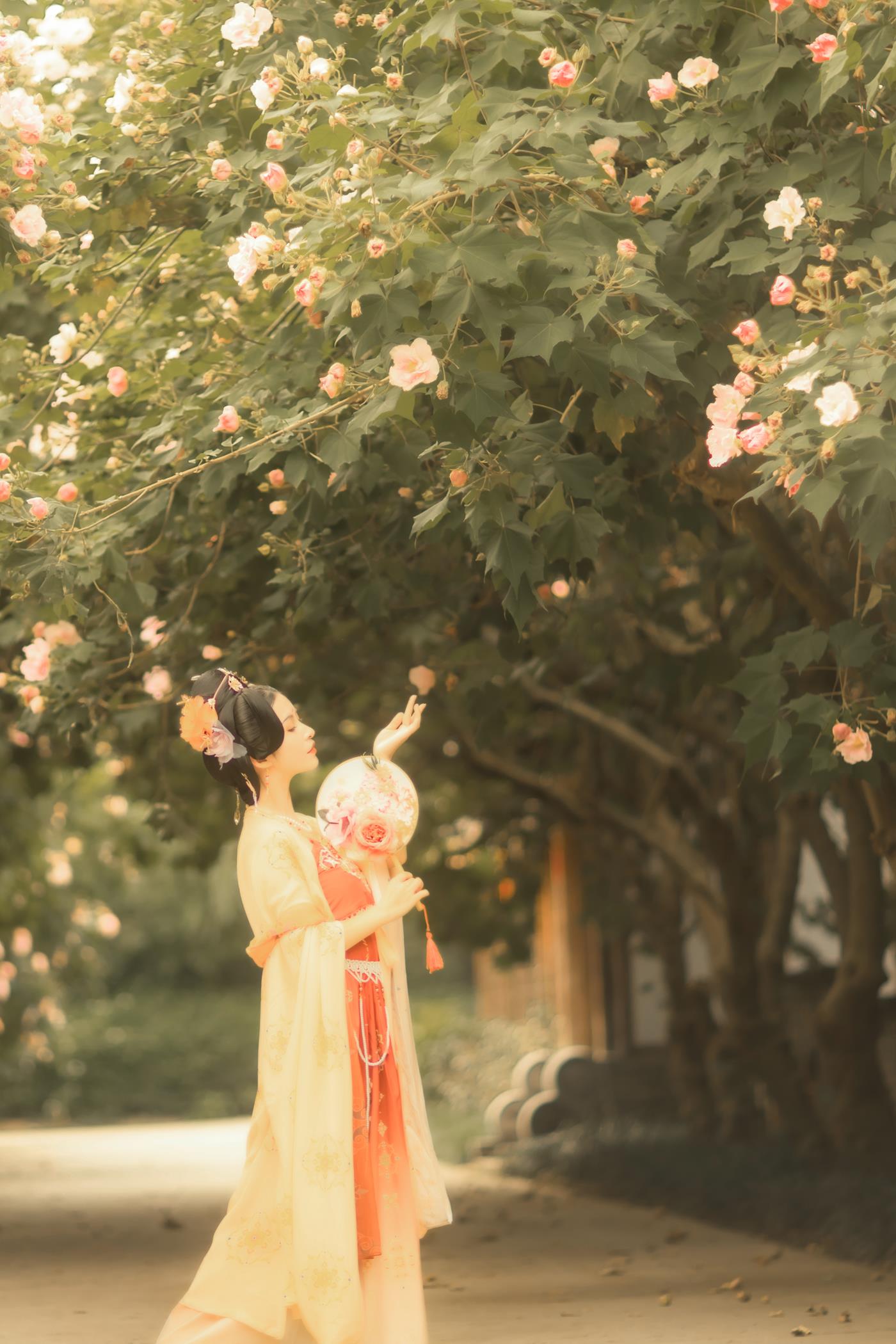 图片[22]-[YITUYU艺图语] 2021.11.18 芙蓉词 修水凝花 [38P] – 速更版-美库