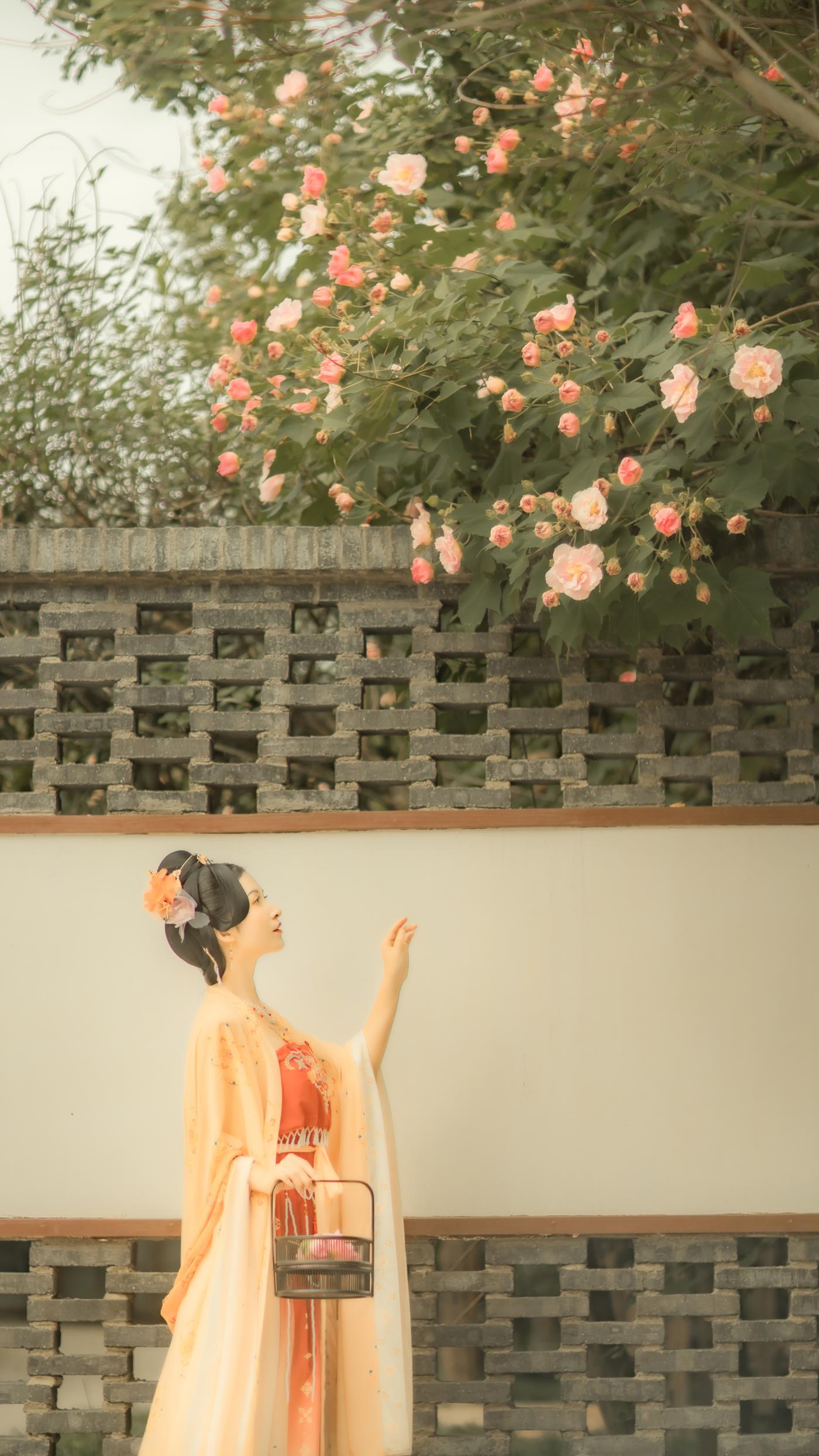 图片[24]-[YITUYU艺图语] 2021.11.18 芙蓉词 修水凝花 [38P] – 速更版-美库