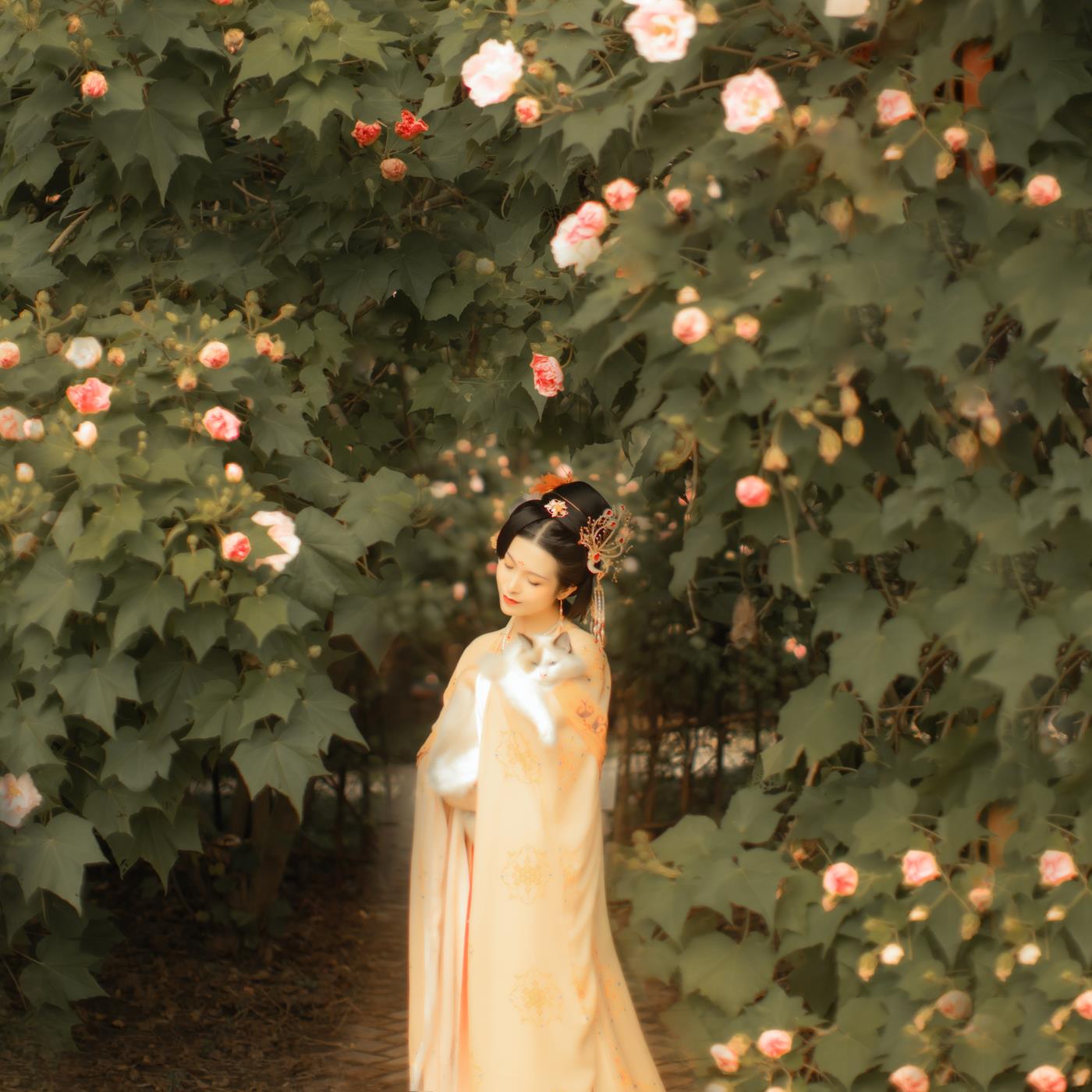 图片[29]-[YITUYU艺图语] 2021.11.18 芙蓉词 修水凝花 [38P] – 速更版-美库