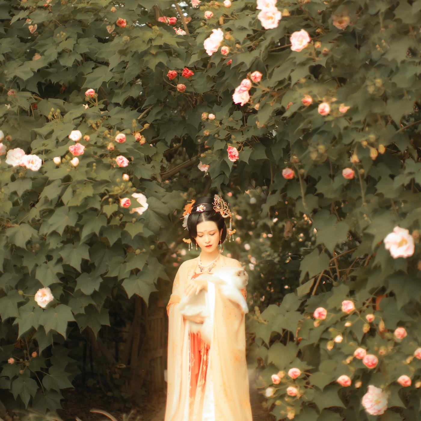 图片[30]-[YITUYU艺图语] 2021.11.18 芙蓉词 修水凝花 [38P] – 速更版-美库